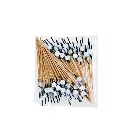 Pique cercle blanche 437-13 (1).webp