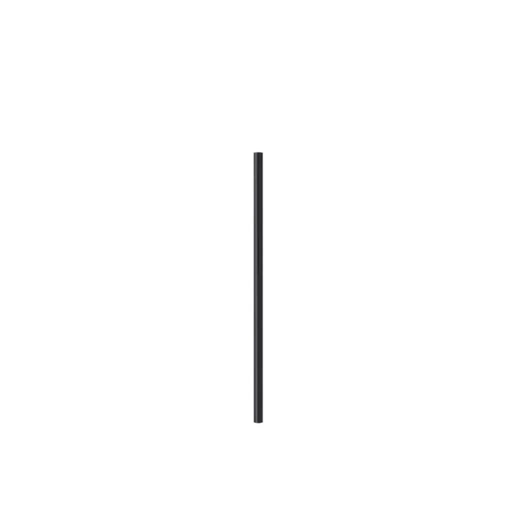 PAILLE NOIR 8mm GOLDEN (2).webp