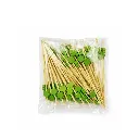 PIQUE FLEURE VERTE 437-14.webp