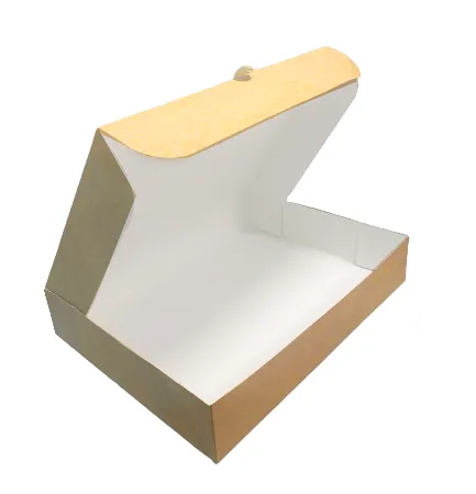 Lunch box 4 compartiments +3 saucières 34*26*6.5 cm GM (100 unités par carton) DEL