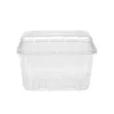 Boîte plastique perforée avec couvercle charnière attaché 500 cc – LARPLAST ( 4 sacs x 100 unités) (Carton de 400 pièces)