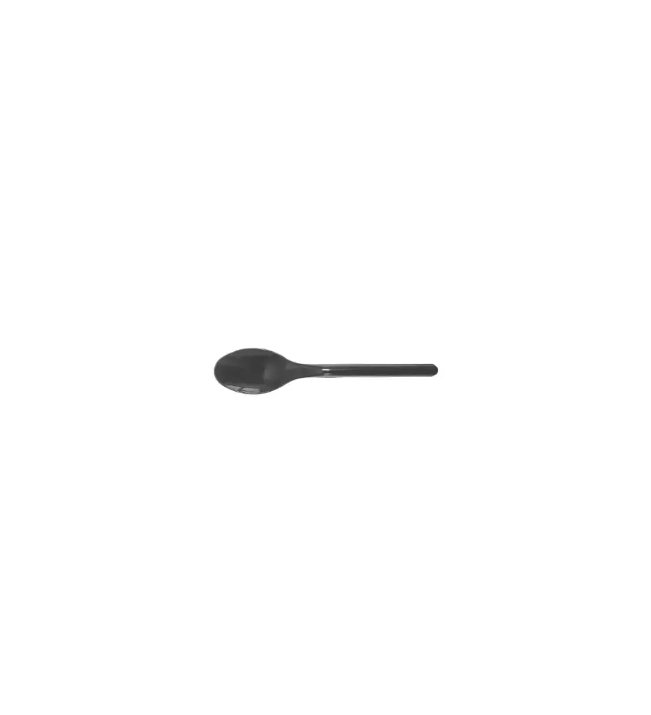 Cuillère à dessert noire (  20 sacs de 100 unités) ( 1 unité de vente = sachets de 100 pièces) ( 20 sacs par carton) WP