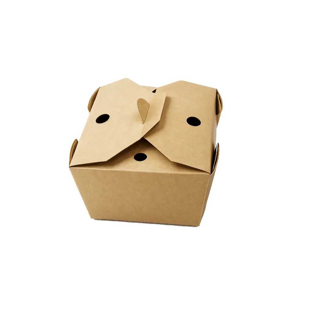 Boite perforé 500 ml en carton PM BIO PACK N° 4  (65 unités x 9 fardeaux)(585 unités par carton)